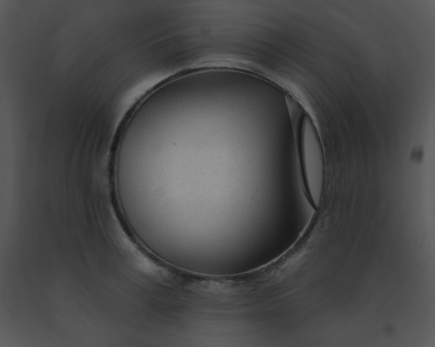 X0000091560995200708311411