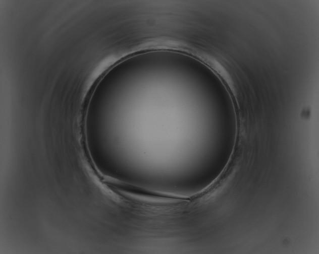 X0000091560997200708311411