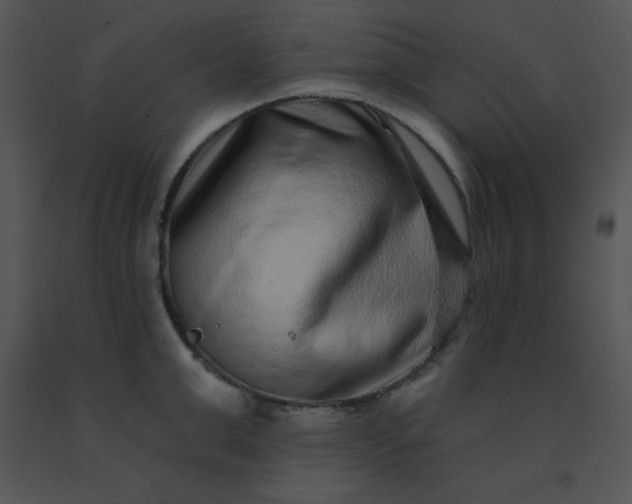 X0000091560999200708311411