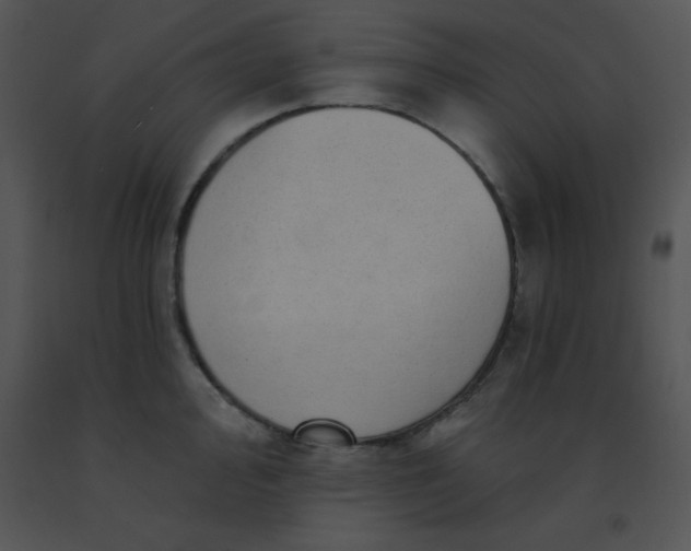 X0000091561000200708311411