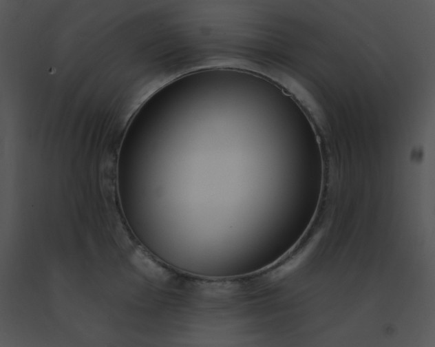 X0000091561001200708311411