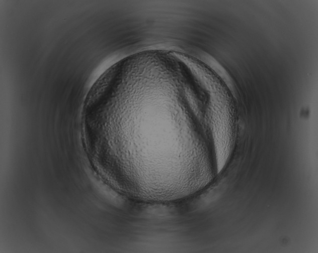 X0000091561002200708311411