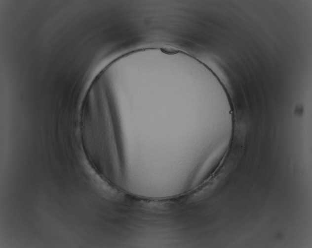 X0000091561004200708311411