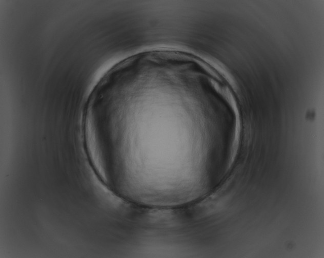 X0000091561006200708311411