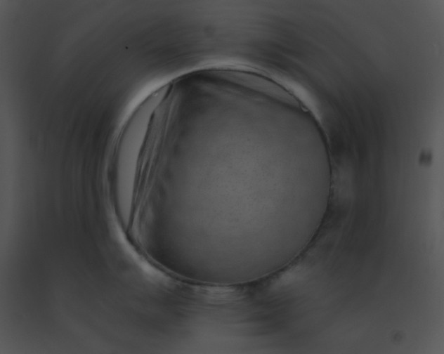 X0000091561007200708311411