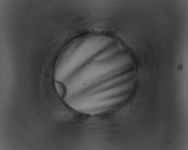 X0000091561009200708311410