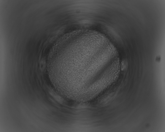 X0000091561011200708311410