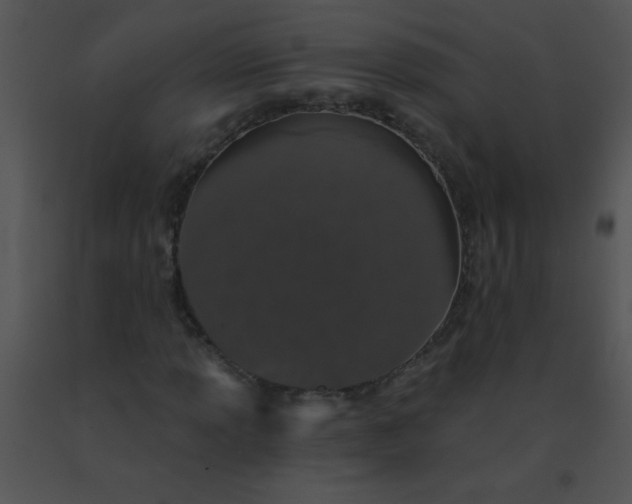 X0000091561013200708311410