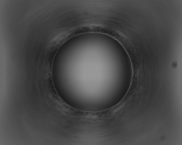 X0000091561014200708311410