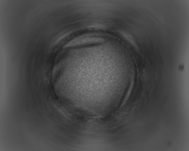 X0000091561015200708311410