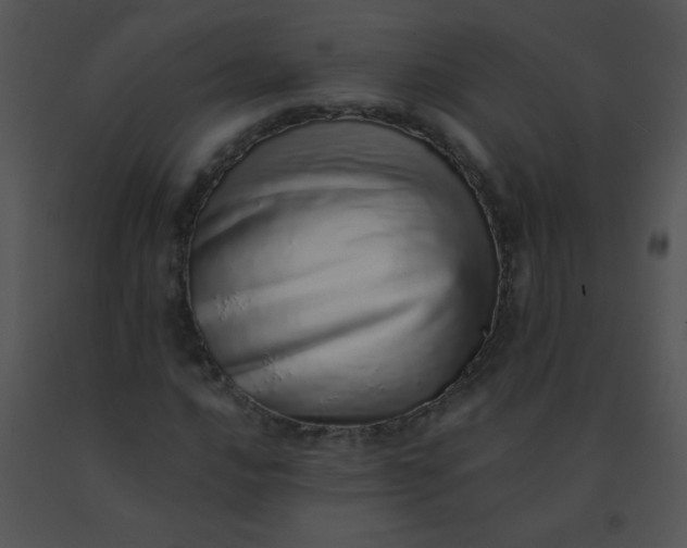 X0000091561016200708311410