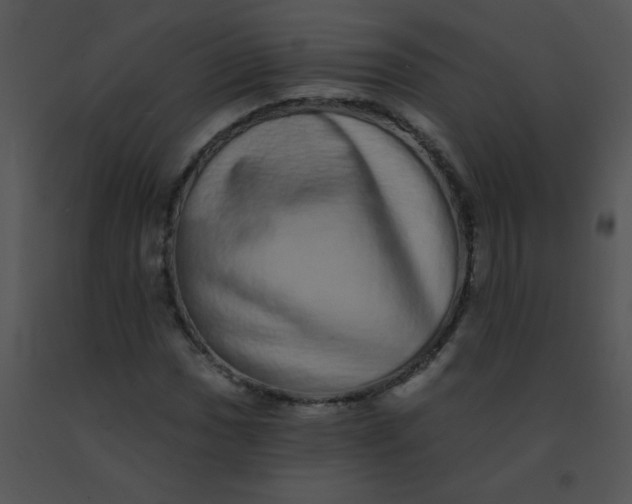 X0000091561017200708311410