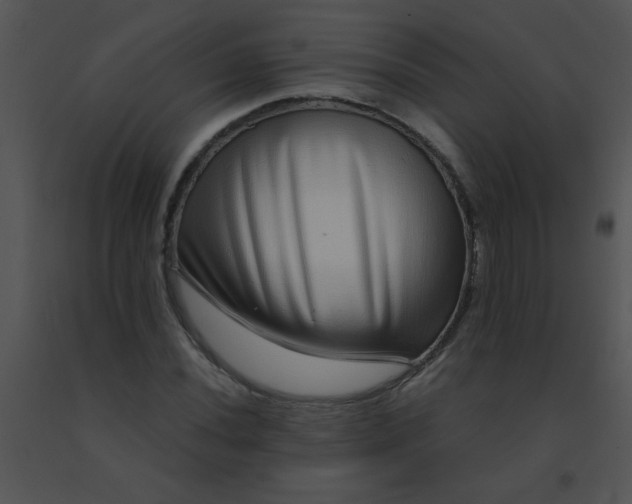 X0000091561020200708311410