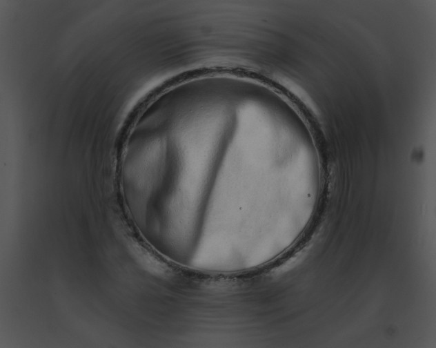 X0000091561021200708311410