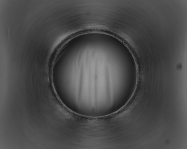 X0000091561022200708311410