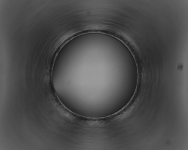 X0000091561025200708311410