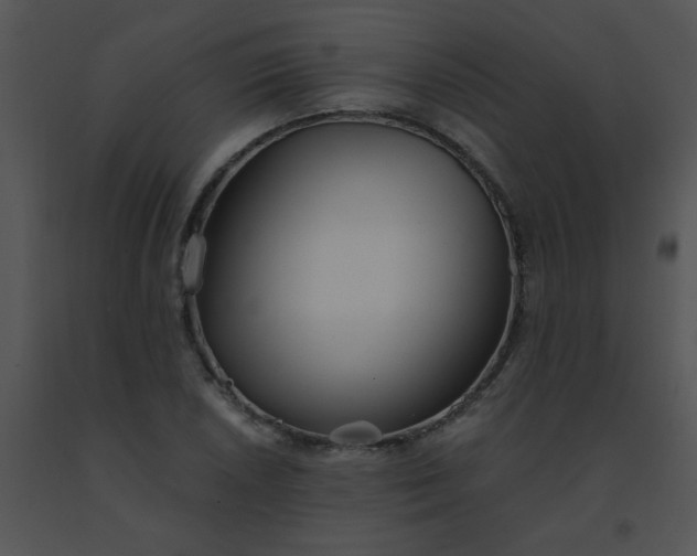 X0000091561026200708311410