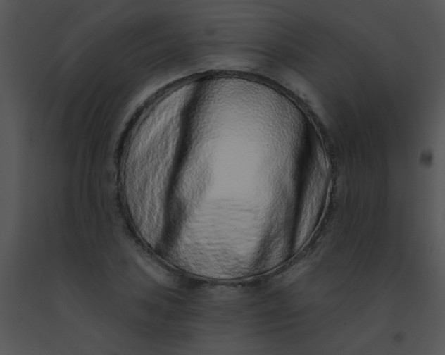 X0000091561027200708311410