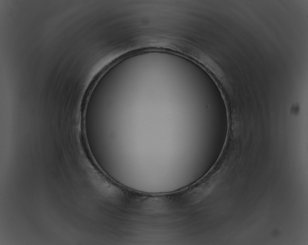 X0000091561028200708311410