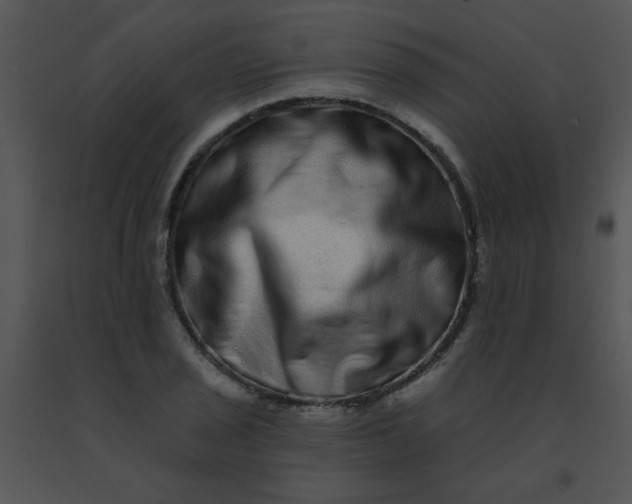 X0000091561029200708311410