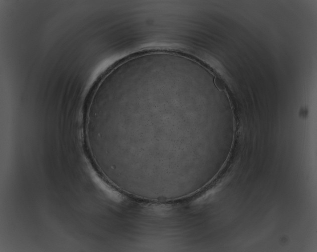 X0000091561030200708311410