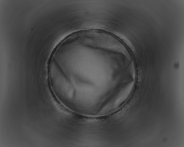 X0000091561031200708311410