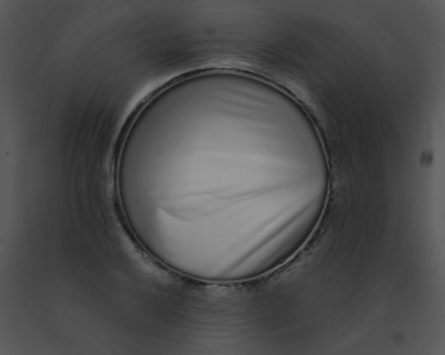 X0000091561032200708311410