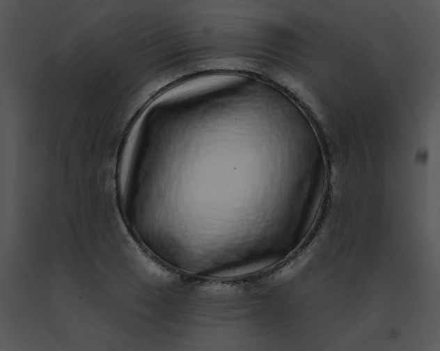 X0000091561033200708311410