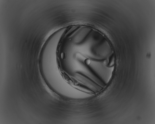 X0000091561034200708311410