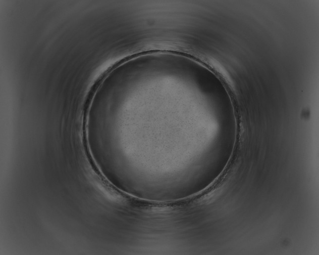 X0000091561035200708311410