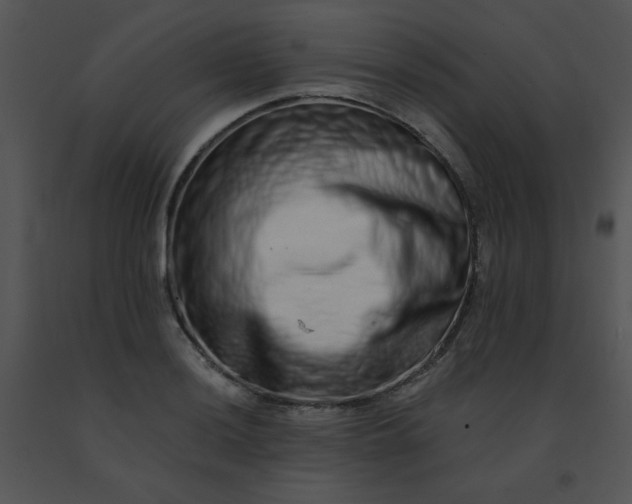 X0000091561036200708311410