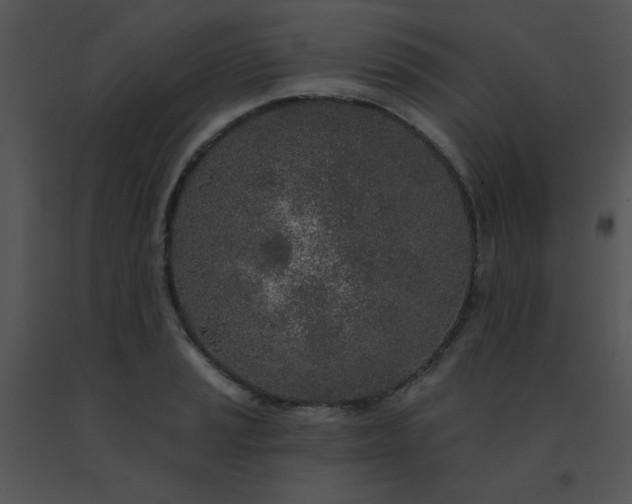 X0000091561037200708311410