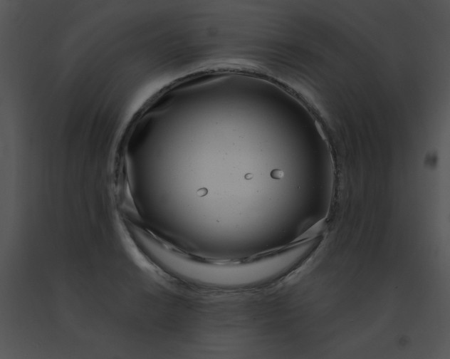 X0000091561038200708311410