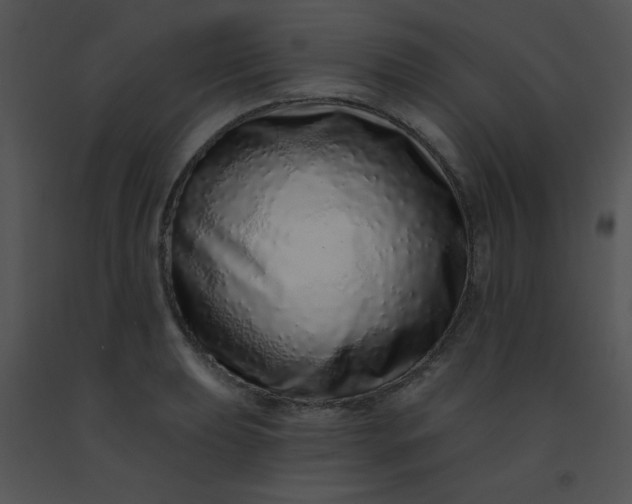 X0000091561039200708311410