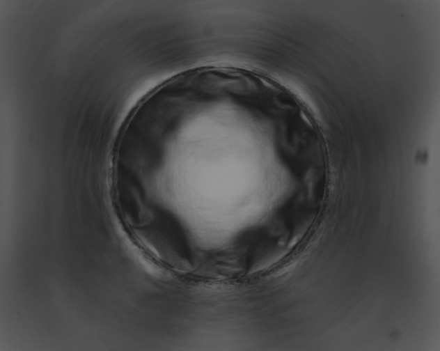 X0000091561040200708311410