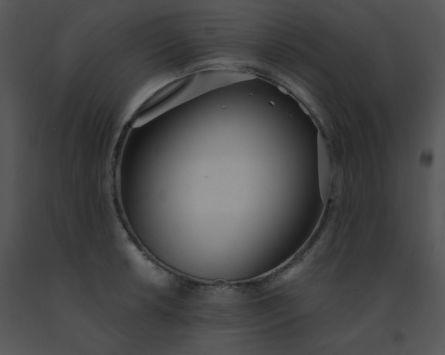 X0000091561042200708311410