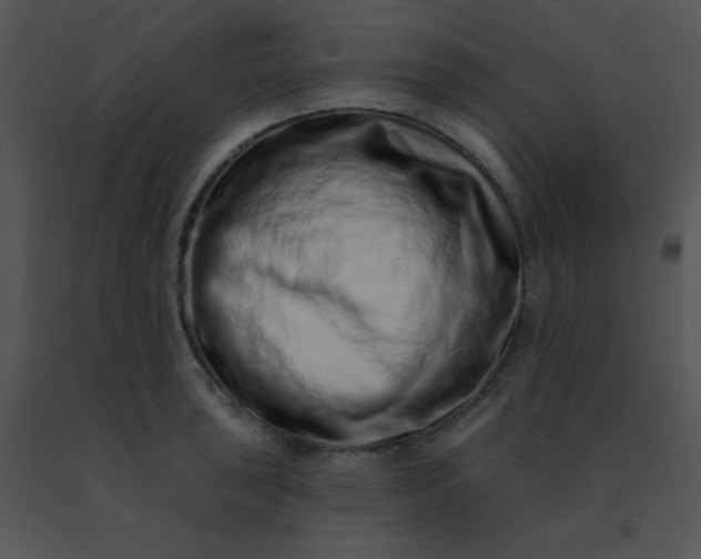 X0000091561043200708311411