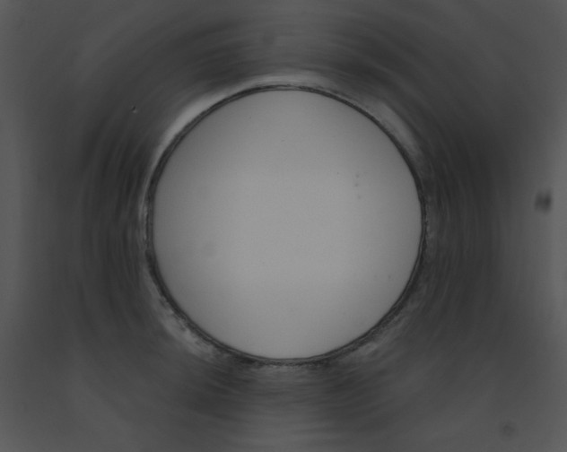 X0000091561044200708311411