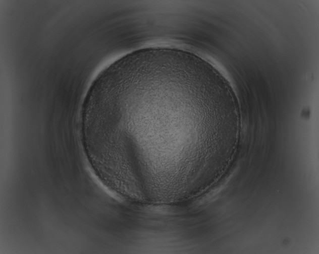 X0000091561045200708311411