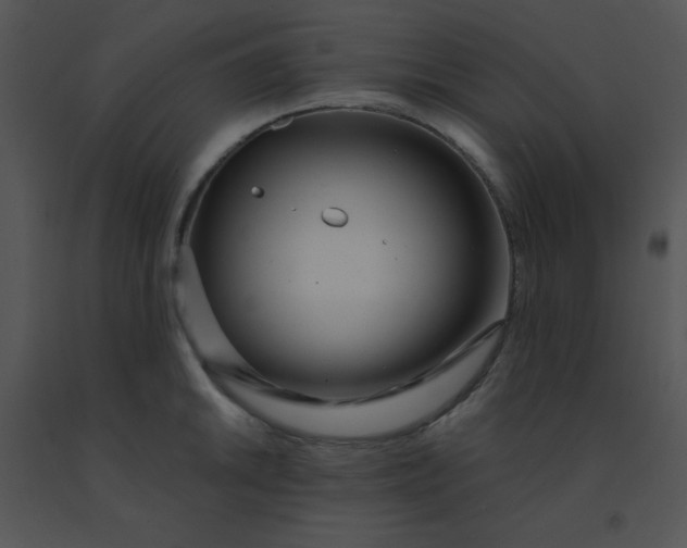 X0000091561046200708311411