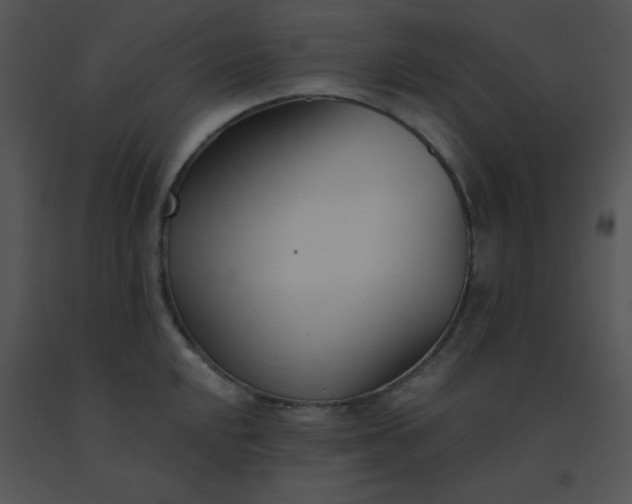 X0000091561048200708311411