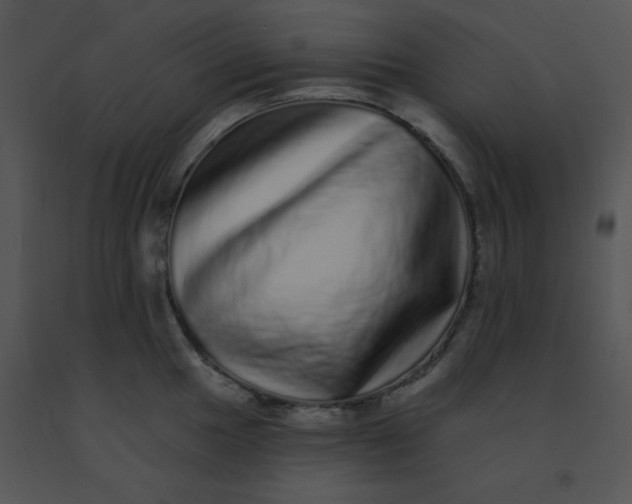 X0000091561049200708311411