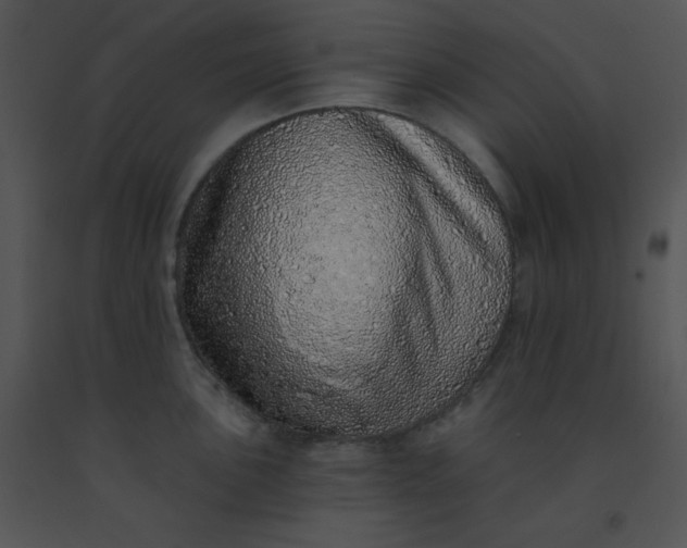 X0000091561051200708311411