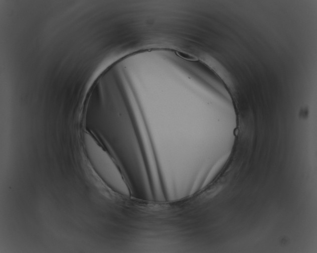 X0000091561052200708311411