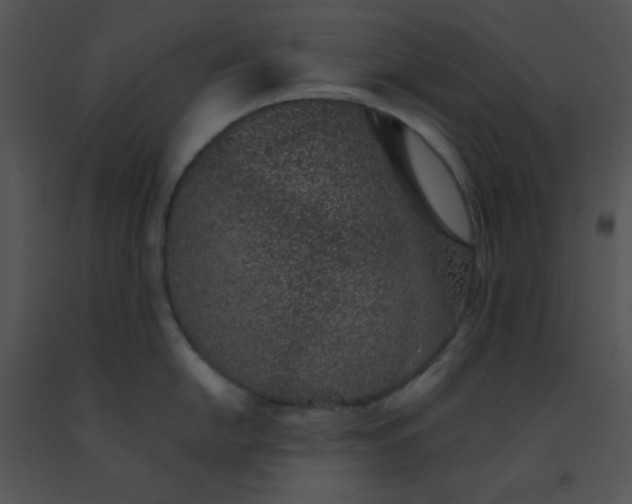 X0000091561054200708311411