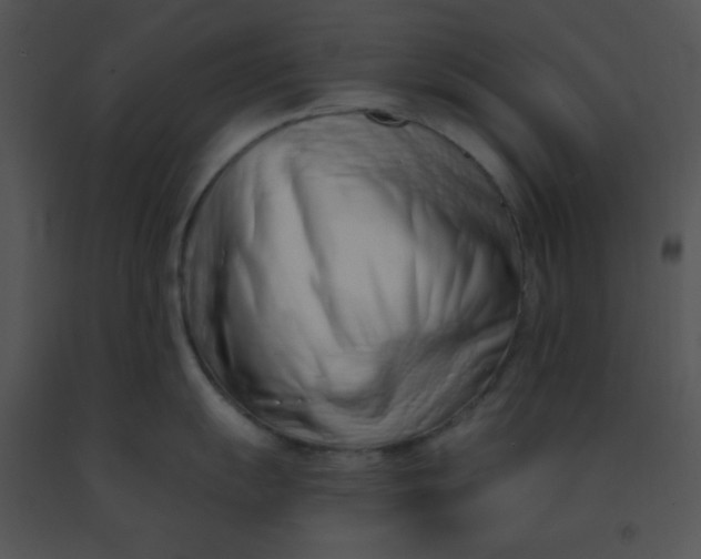 X0000091561055200708311411