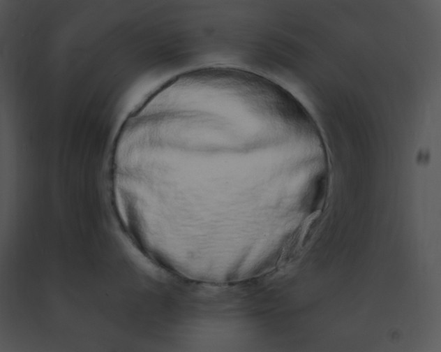 X0000091561056200708311411