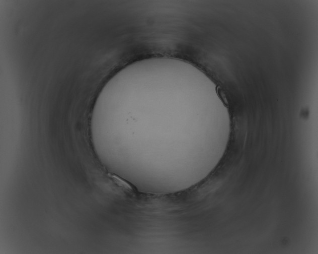 X0000091561057200708311410