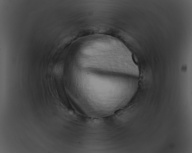 X0000091561058200708311410