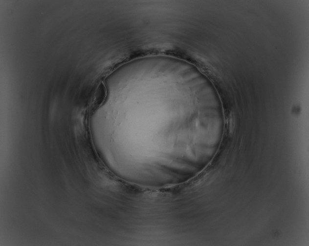 X0000091561059200708311410